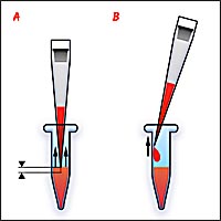 ilustracja naukowa