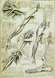 rysunki i szkice antamomiczne Leonarda da Vinci - ilustracja medyczna renesansu