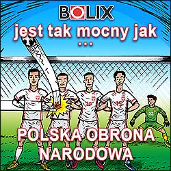 mem okolicznociowy na social media - euro 2016