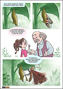 komiks edukacyjny dla dzieci i młodzieży o życiu i rozwoju motyli - Rusałka Pawik.