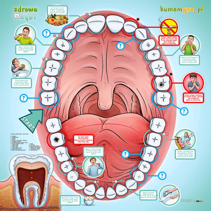 edukacyjna, gra planszowa XXL dla dzieci, która uczy jak dbać o zdrowie zębów i jamy ustnej.