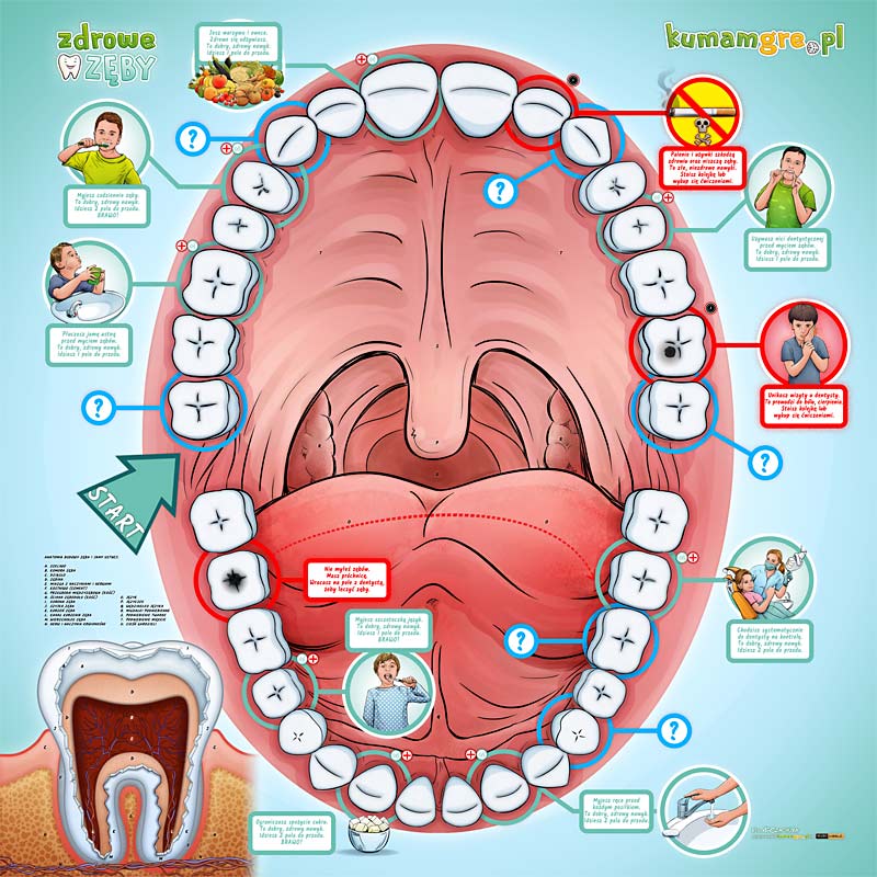 edukacyjna, gra planszowa XXL dla dzieci, ktra uczy jak dba o zdrowie zbw i jamy ustnej.